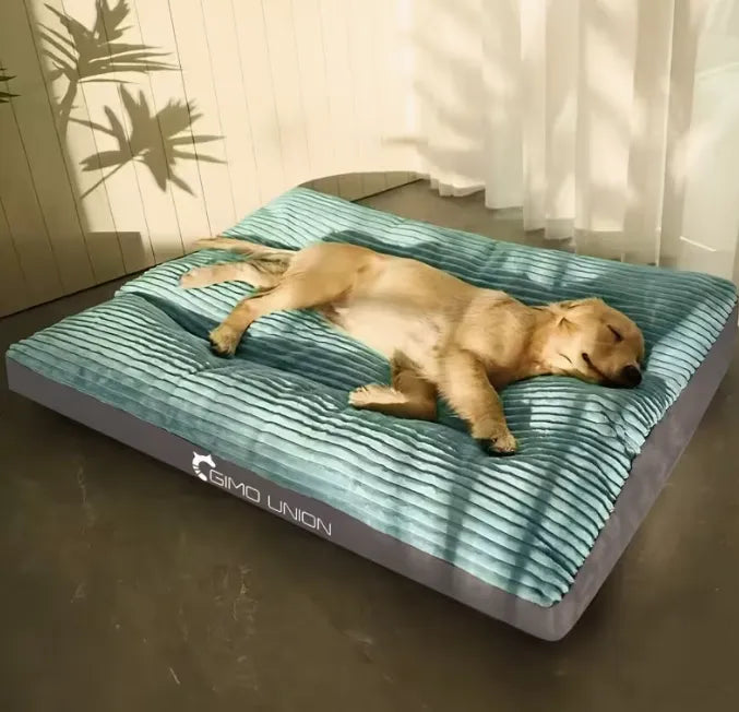 Perro descansando en colchón acolchado lavable para mascotas