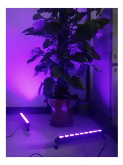 Barras de luz negra UV iluminando una habitación con ambiente fluorescente