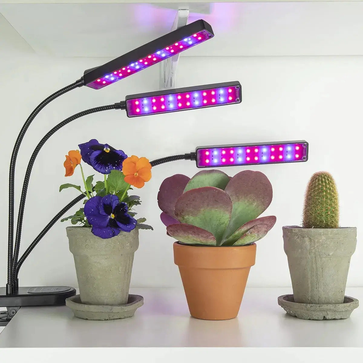 Lámpara Cultivo Uv Para Plantas Indoor Crecimiento Rápido 60 led