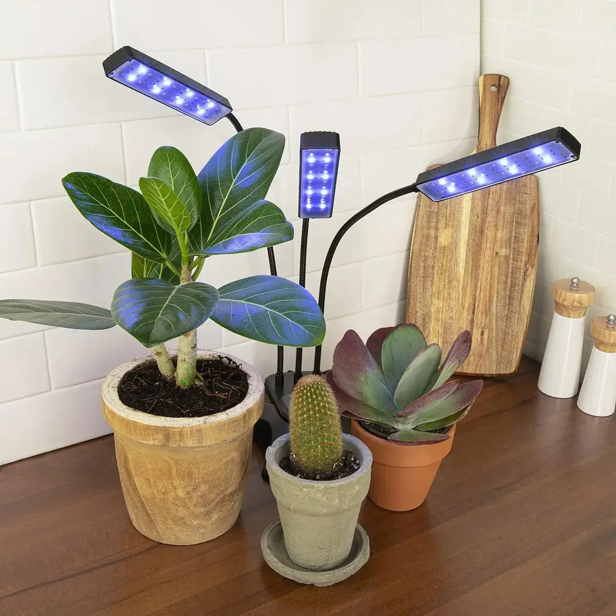 Lámpara Cultivo Uv Para Plantas Indoor Crecimiento Rápido 60 led