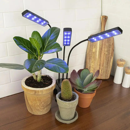 Lámpara Cultivo Uv Para Plantas Indoor Crecimiento Rápido 60 led