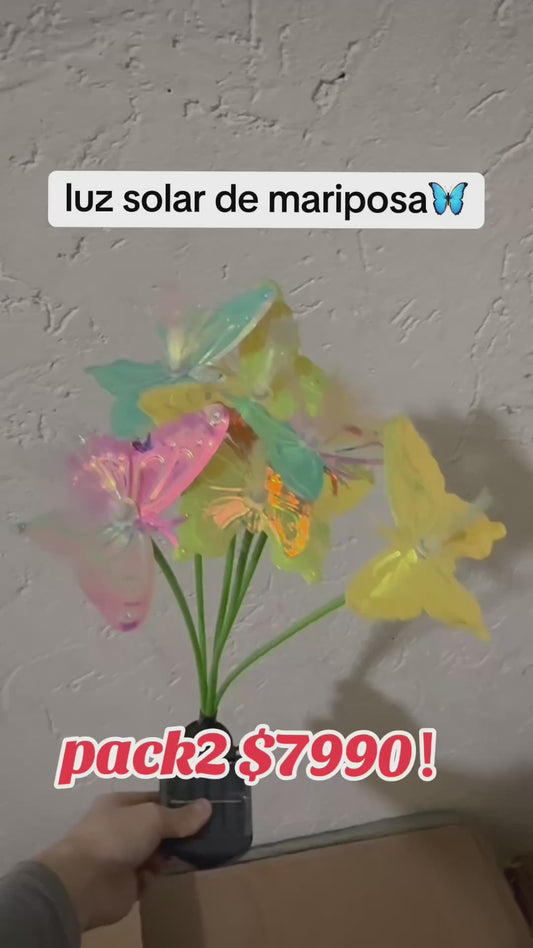 Luces solares decorativas de mariposa para patio y terraza exterior